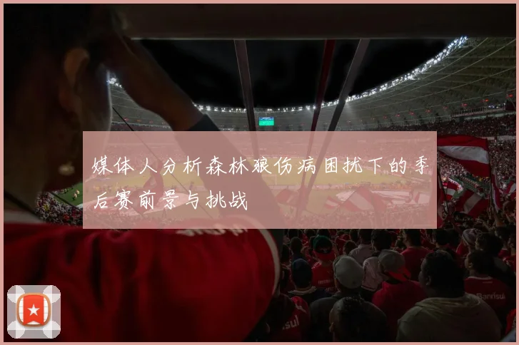 媒体人分析森林狼伤病困扰下的季后赛前景与挑战